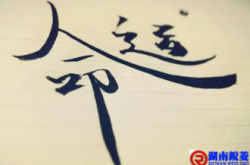 缺！（深度好文）