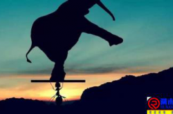 能扛事儿 ，才是你最了不起的才华