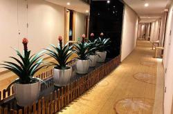 你可以普通，但绝不能平庸！