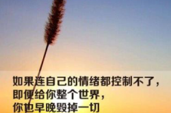 生活里的苦，大多都是情绪种下的毒