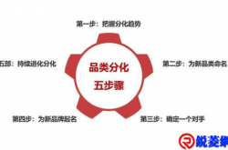 品类创新与成功出圈。