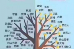 改变命运，靠的是自身的能量