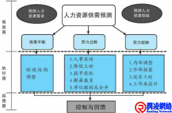 人力资源的底层逻辑